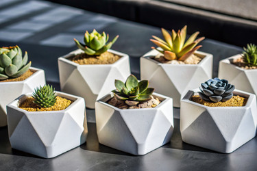 Similar image 22411114