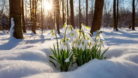 Similar image 22429588