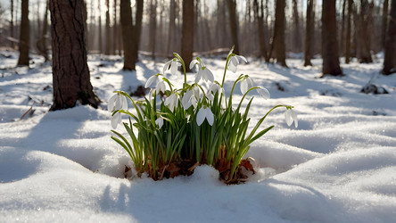 Similar image 22429653