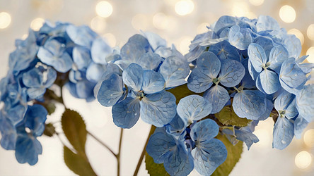 Similar image 22429664