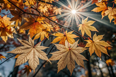 Similar image 22411025