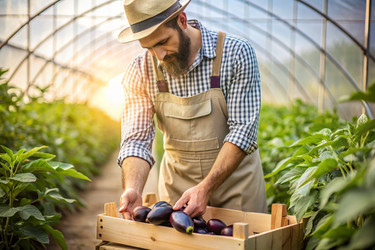 Similar image 22411777