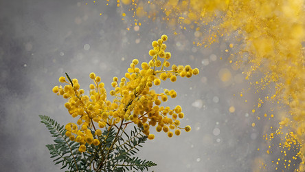 Similar image 22429712