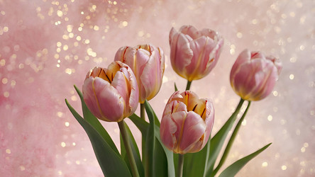 Similar image 22429856