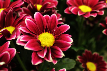 Similar image 22399720