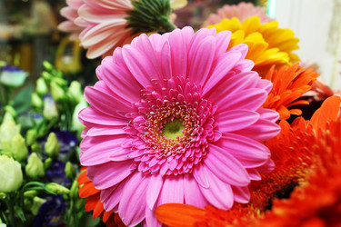 Similar image 22399724