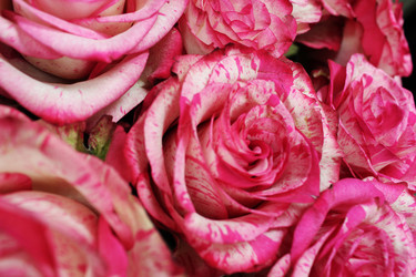 Similar image 22399757