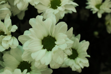 Similar image 22399758