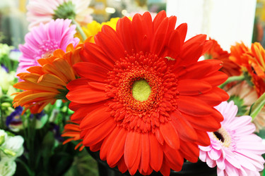 Similar image 22399759