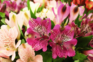 Similar image 22399760