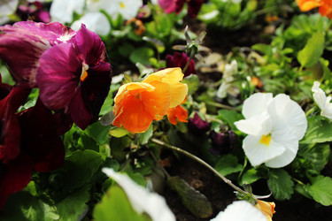 Similar image 22399761