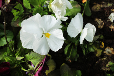 Similar image 22399764