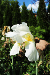 Similar image 22399765