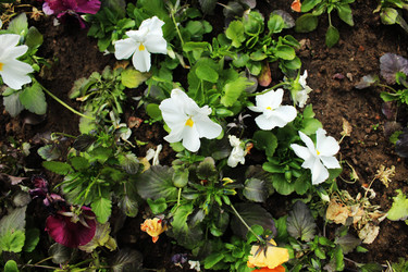 Similar image 22399766