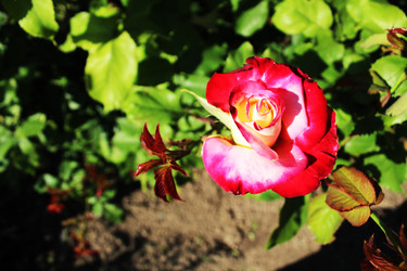 Similar image 22399767