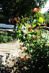 Similar image 22399768