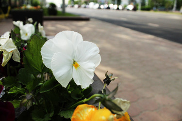 Similar image 22399771