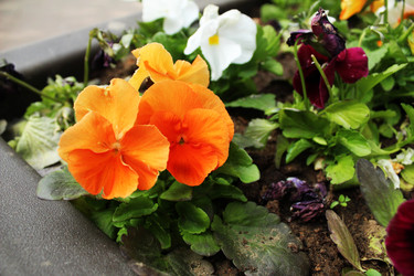 Similar image 22399773