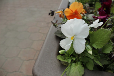 Similar image 22399774