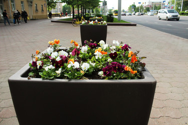 Similar image 22399775