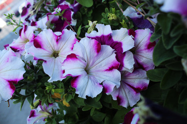 Similar image 22399778