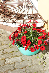 Similar image 22399780