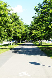 Similar image 22399782