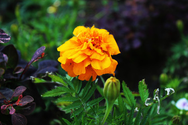 Similar image 22399783