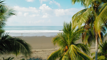 Similar image 22443664