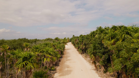 Similar image 22443665