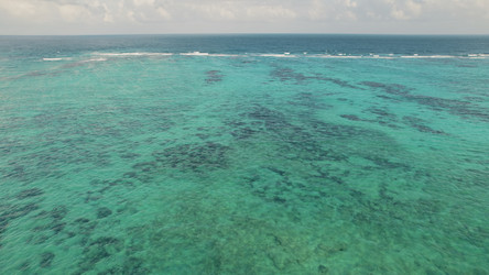 Similar image 22443673