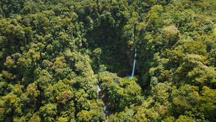 Similar image 22443675