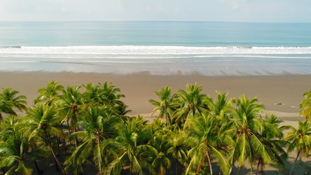 Similar image 22443676