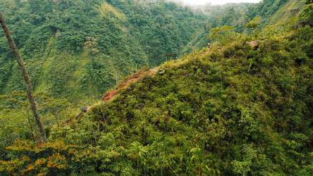 Similar image 22443697