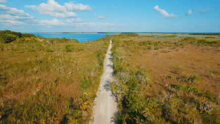 Similar image 22443704