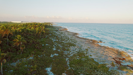 Similar image 22419275