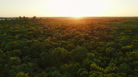 Similar image 22419279