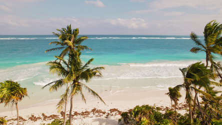 Similar image 22419285