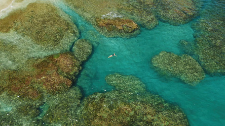 Similar image 22419290