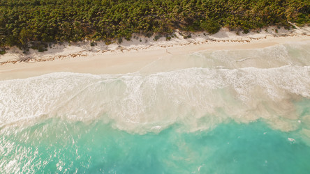 Similar image 22419306