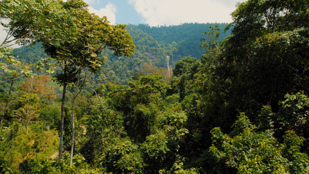 Similar image 22419309