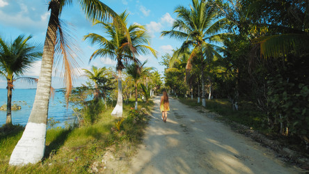 Similar image 22419316