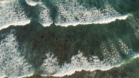 Similar image 22419319