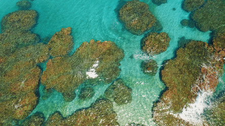 Similar image 22419321