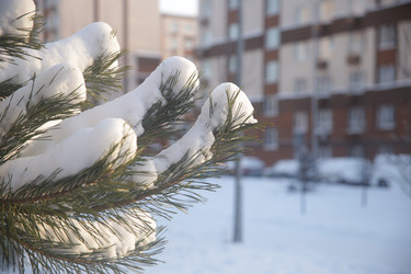 Similar image 22400021