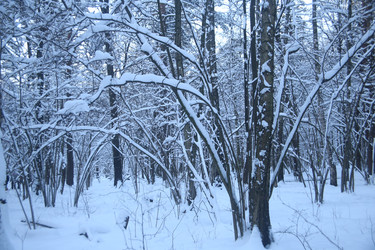 Similar image 22400022