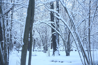 Similar image 22400023