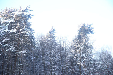 Similar image 22400024