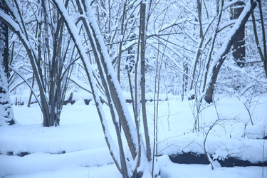 Similar image 22400037