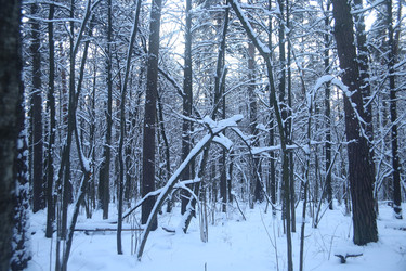 Similar image 22400038